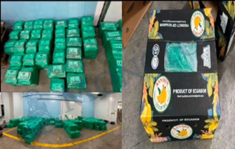 El jefe de la UDEF se «indignó» porque un contenedor de cocaína se escapó a su control