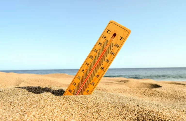 Por qué el calor extremo podría estar envejeciendo tu cuerpo antes de tiempo