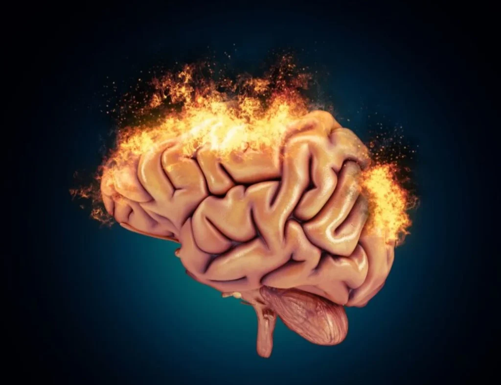 Qué le ocurre al cerebro a partir de los 40