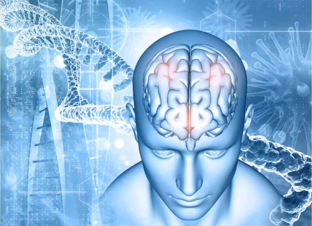 Lo que la respiración hace dentro del cerebro