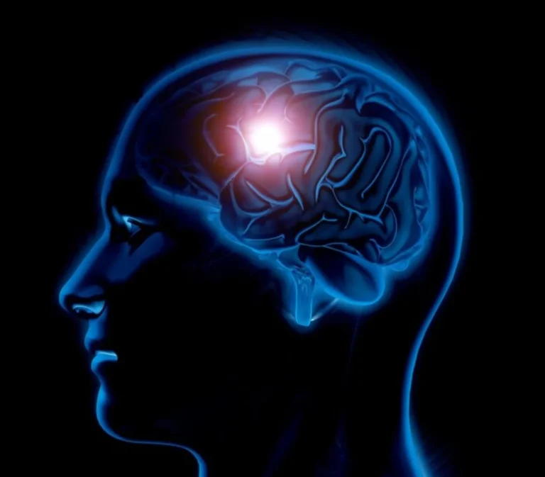 Científicos revelan la dieta que ayuda a mantener el cerebro joven por más tiempo