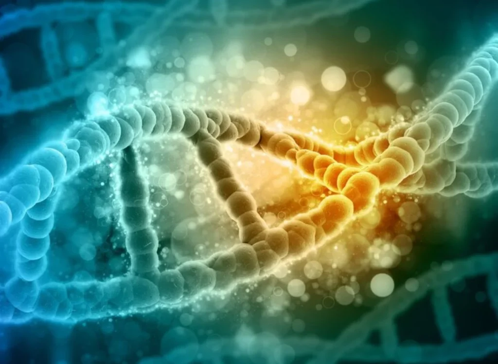 La longevidad no está escrita en los genes