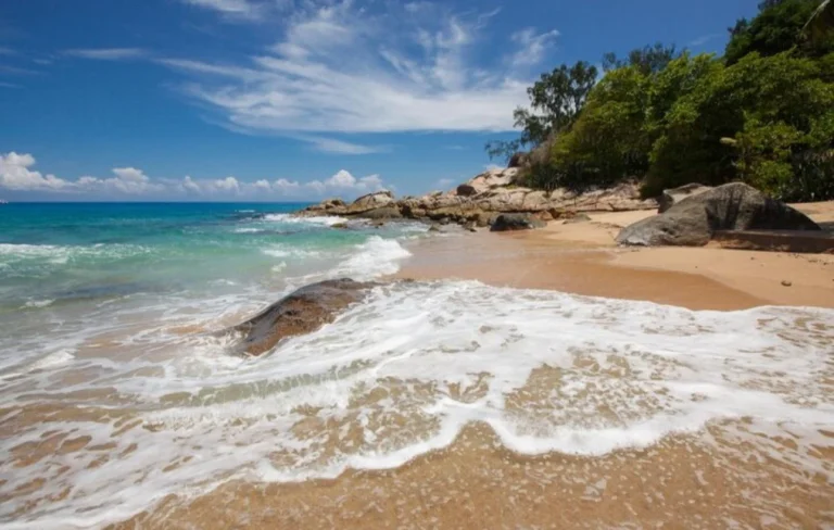 Por qué ir a la playa beneficia al cerebro y la salud mental, según la ciencia