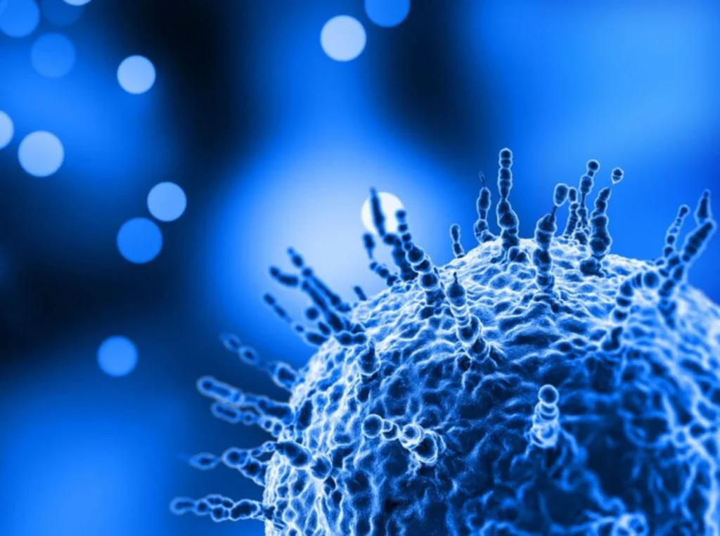 Cómo se transmite y por qué preocupa tanto