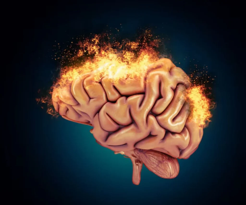 Muchos la toman para entrenar, pero la creatina podría tener otro efecto inesperado 6 Moncloa Cuando el cerebro también entra en la ecuación