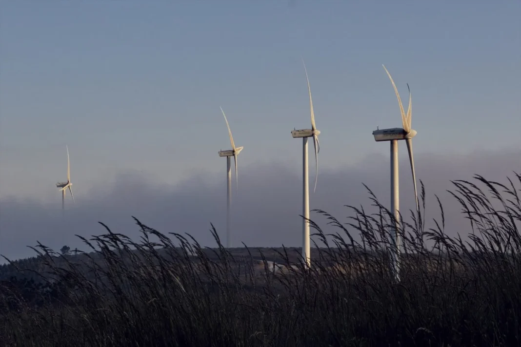 aerogeneradores_parque_eolic Aerogeneradores en un parque eólico similares a los de Forestalia. AGENCIAS