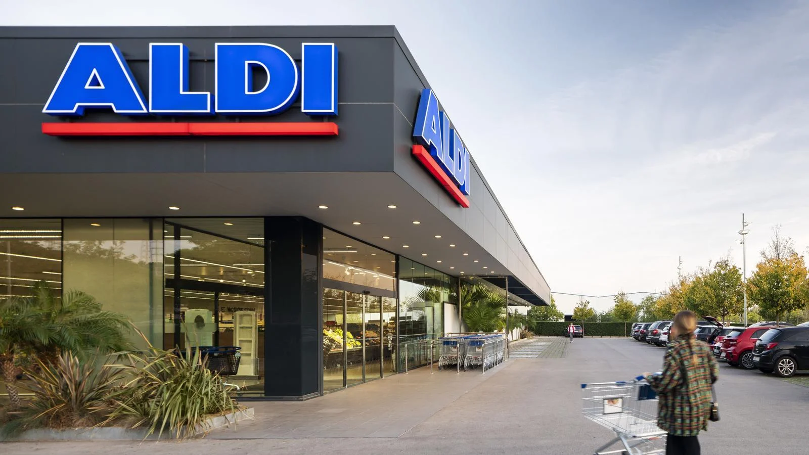 Aldi activa el 4 de abril la venta de su mosquitera de 12,99 euros para toda España Aldi activa el 4 de abril la venta de su mosquitera de 12,99 euros para toda España