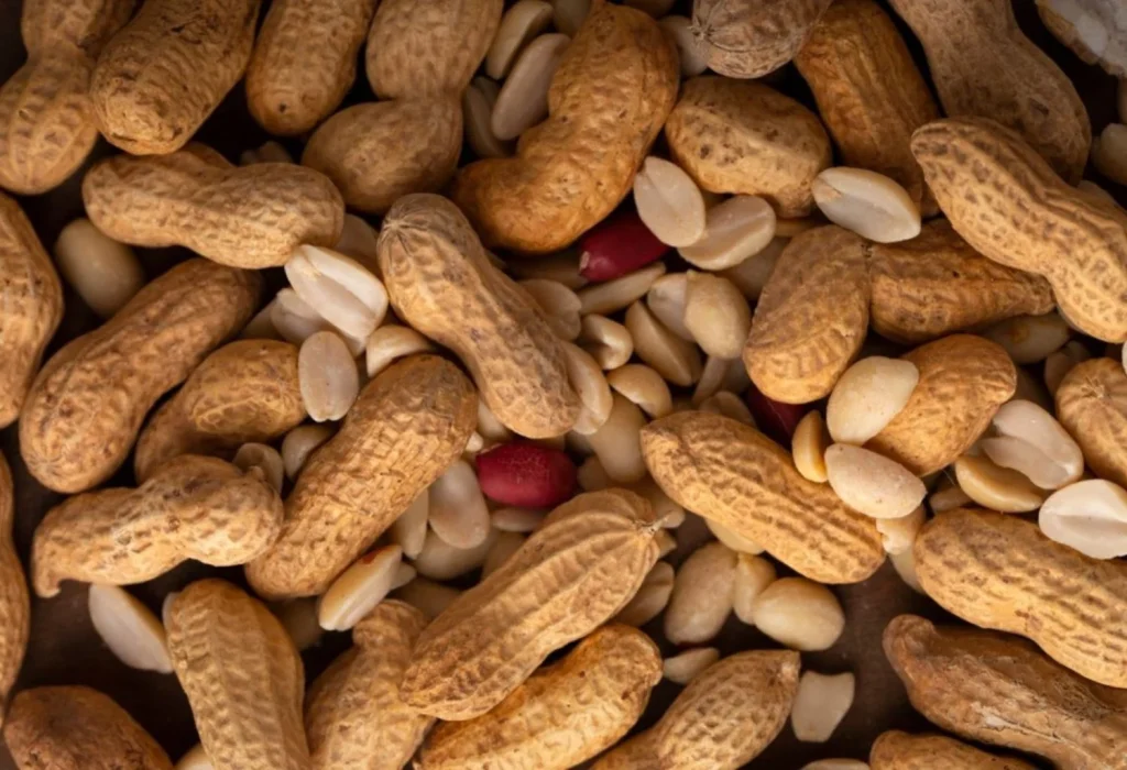 Los frutos secos que podrían ayudarte a vivir más, según los expertos 4 Moncloa Cacahuetes y nueces, aliados del corazón y del cerebro