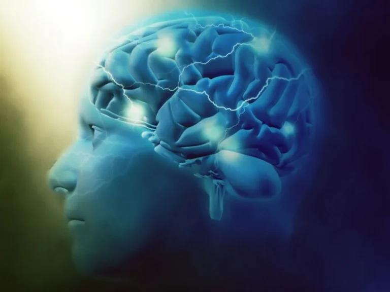 Los 3 alimentos que podrían ayudar a mantener el cerebro fuerte y en buen estado, según expertos