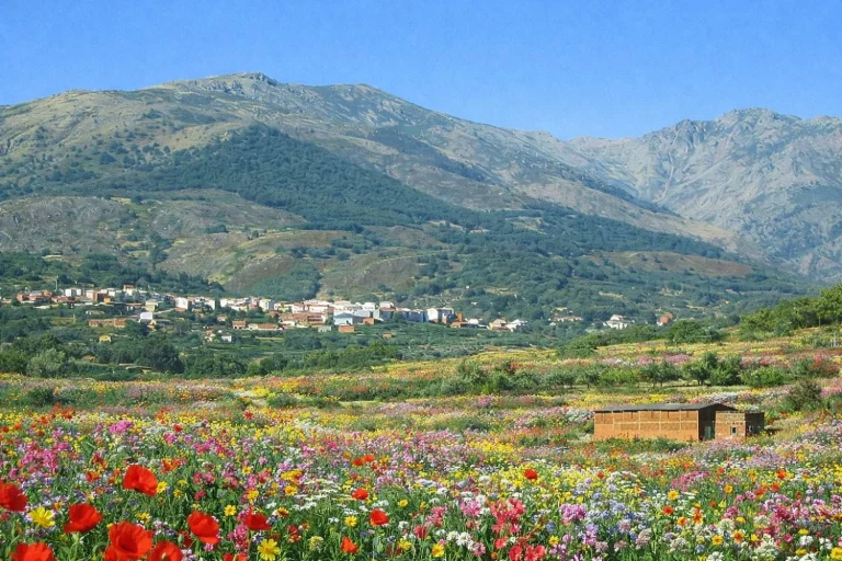 El mapa del polen: por qué Madrid y Extremadura vivirán la primavera más agresiva en una década