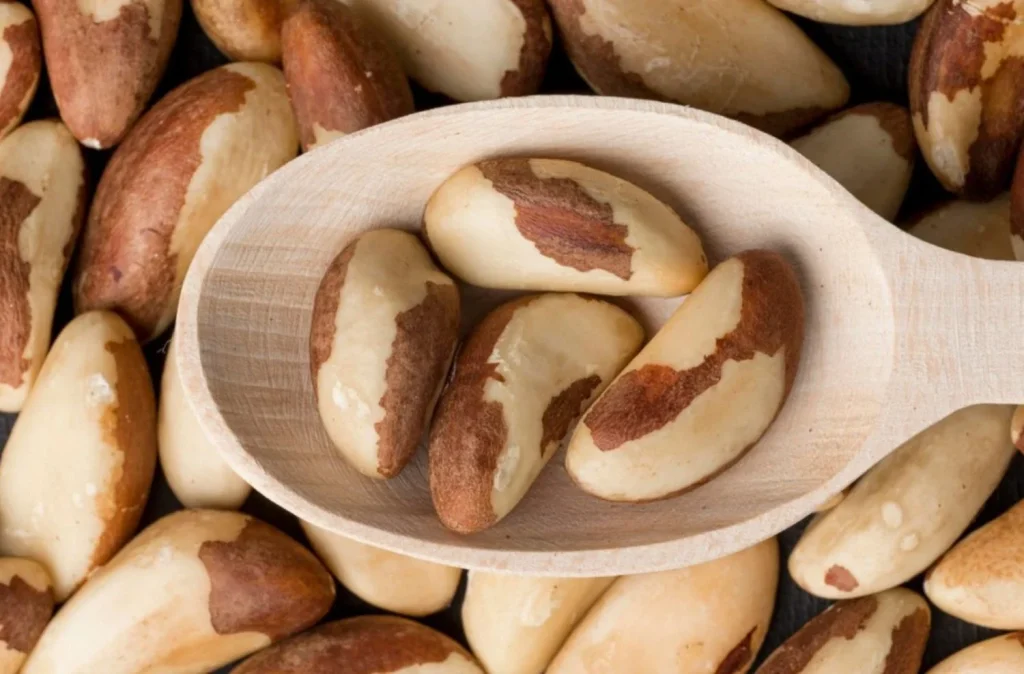 Los frutos secos que podrían ayudarte a vivir más, según los expertos 3 Moncloa Nueces de Brasil, pequeñas pero muy potentes
