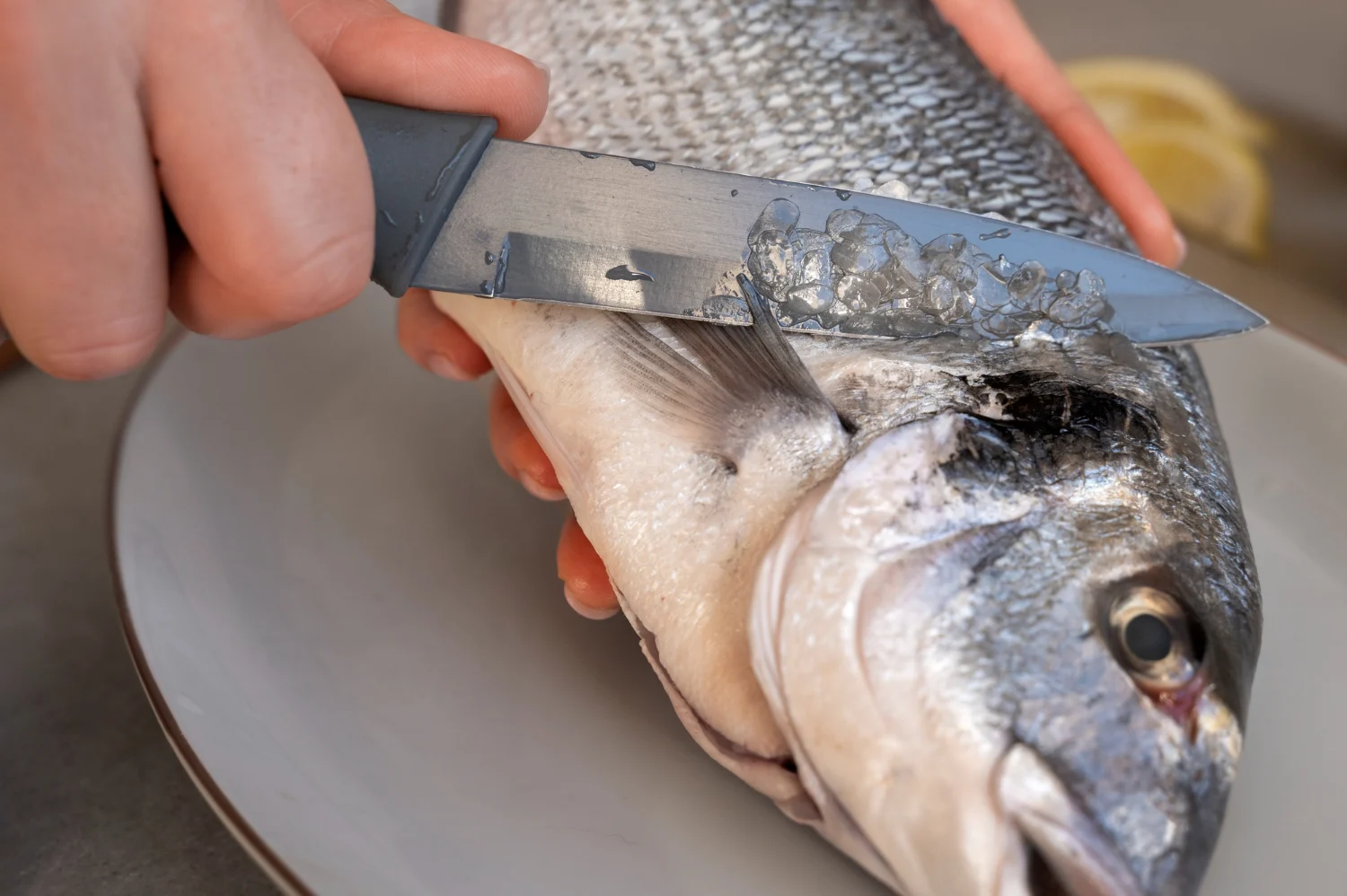 El aviso urgente de Sanidad sobre un pescado muy común en España: por qué no debes consumirlo hoy El aviso urgente de Sanidad sobre un pescado muy común en España: por qué no debes consumirlo hoy