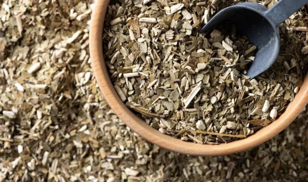 3 alternativas al café que sí valen la pena: beneficios reales y cuánto debes tomar 2 Moncloa Yerba mate, el café natural de Sudamérica