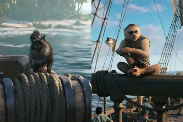 ¿Gato o mono? Assassin's Creed Black Flag Resynced permite adoptar mascotas para tu barco al estilo Sims