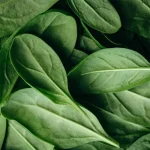 5 razones para incluir espinaca en tu dieta desde hoy