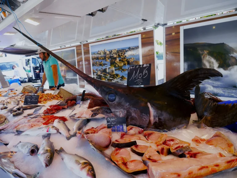 pescados con mercurio OCU