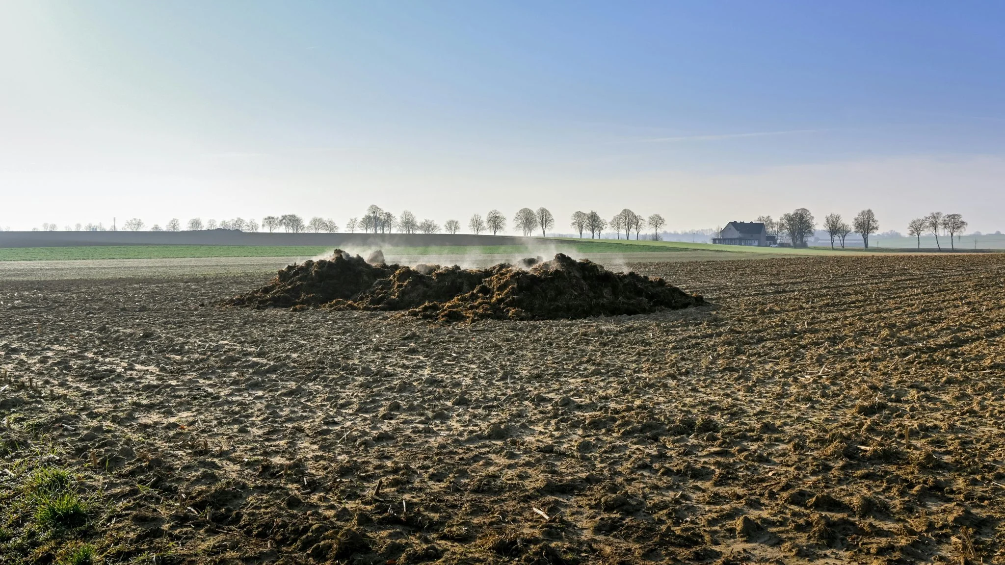 Crisis de fertilizantes en la UE: Bruselas recurre al estiércol tras el bloqueo de Ormuz por la guerra con Irán 1 Moncloa estiércol fertilizante