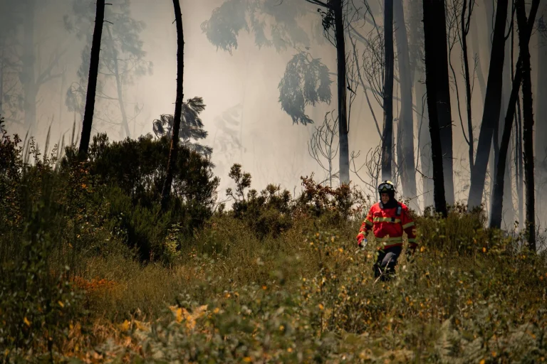 Madrid refuerza la prevención de incendios con el desbroce de 5.298 hectáreas