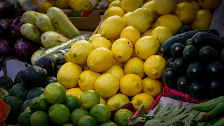 cómo elegir calabacines