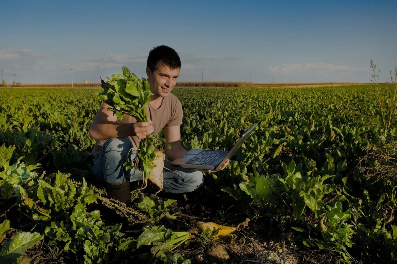 Agricultura sostenible 4