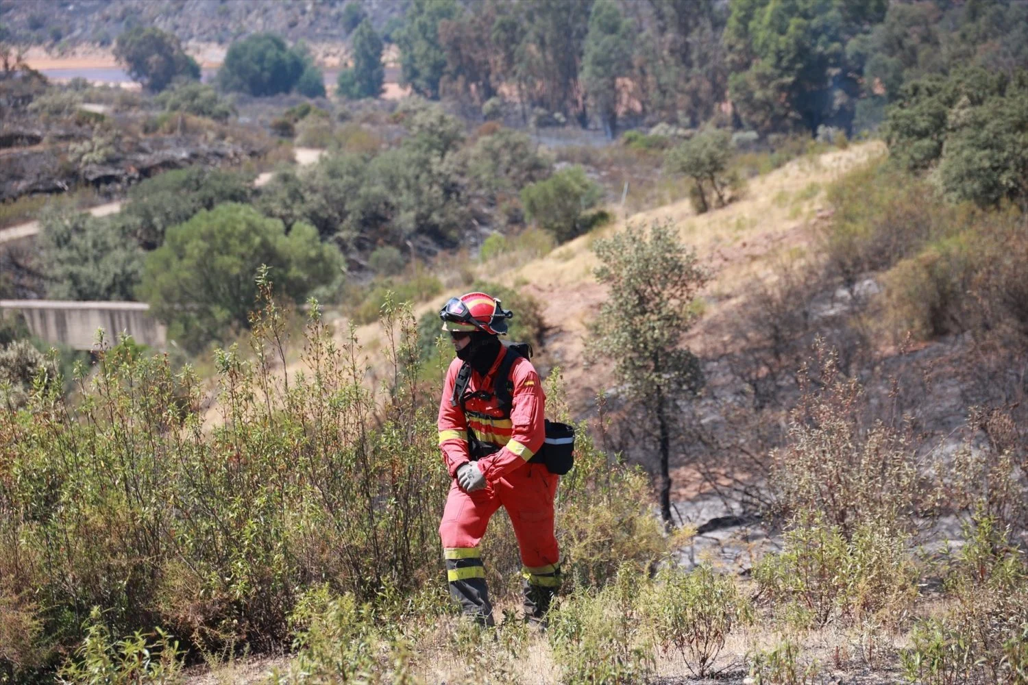 Efectivos del dispositivo de extinción del incendio forestal