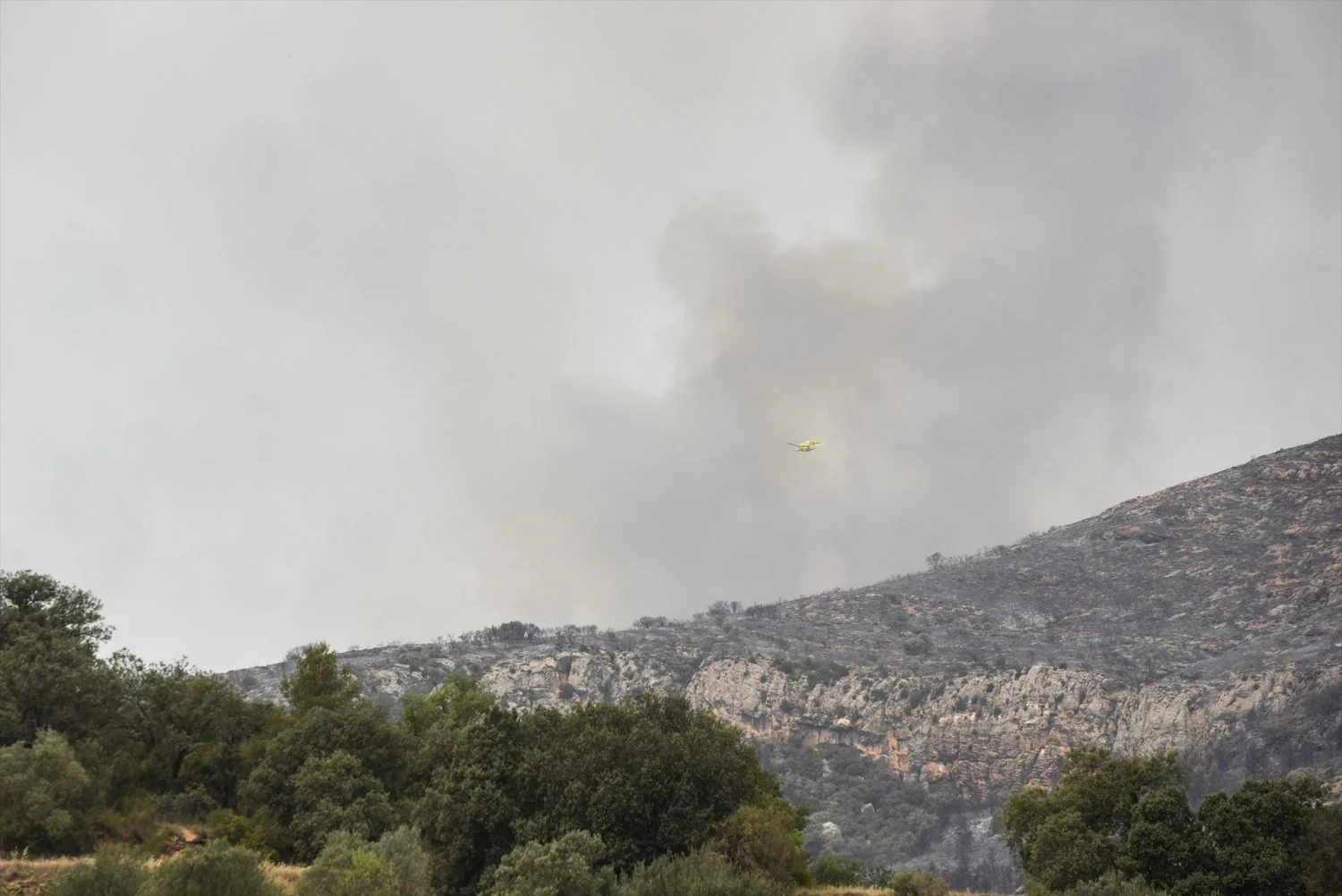 EuropaPress_4523993_humo_zona_donde_declarado_incendio_16_junio_2022_artesa_segre_lleida
