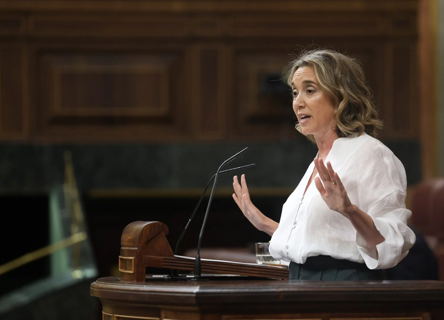 La vicesecretaria de Regeneración Institucional del PP, Cuca Gamarra, durante una sesión de control al Gobierno, en el Congreso de los Diputados, a 10 de junio de 2026, en Madrid La vicesecretaria de Regeneración Institucional del PP, Cuca Gamarra, durante una sesión de control al Gobierno, en el Congreso de los Diputados, a 10 de junio de 2026, en Madrid (Fuente: Agencias)