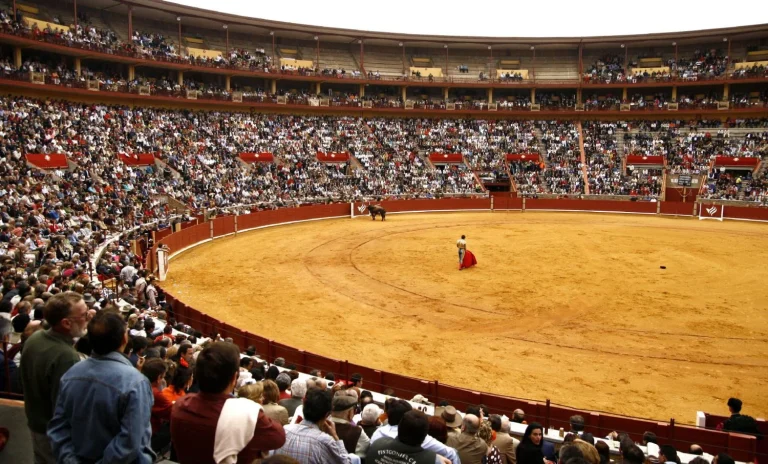 El Parlamento Vasco aprueba la participación de menores desde los 8 años en festejos taurinos