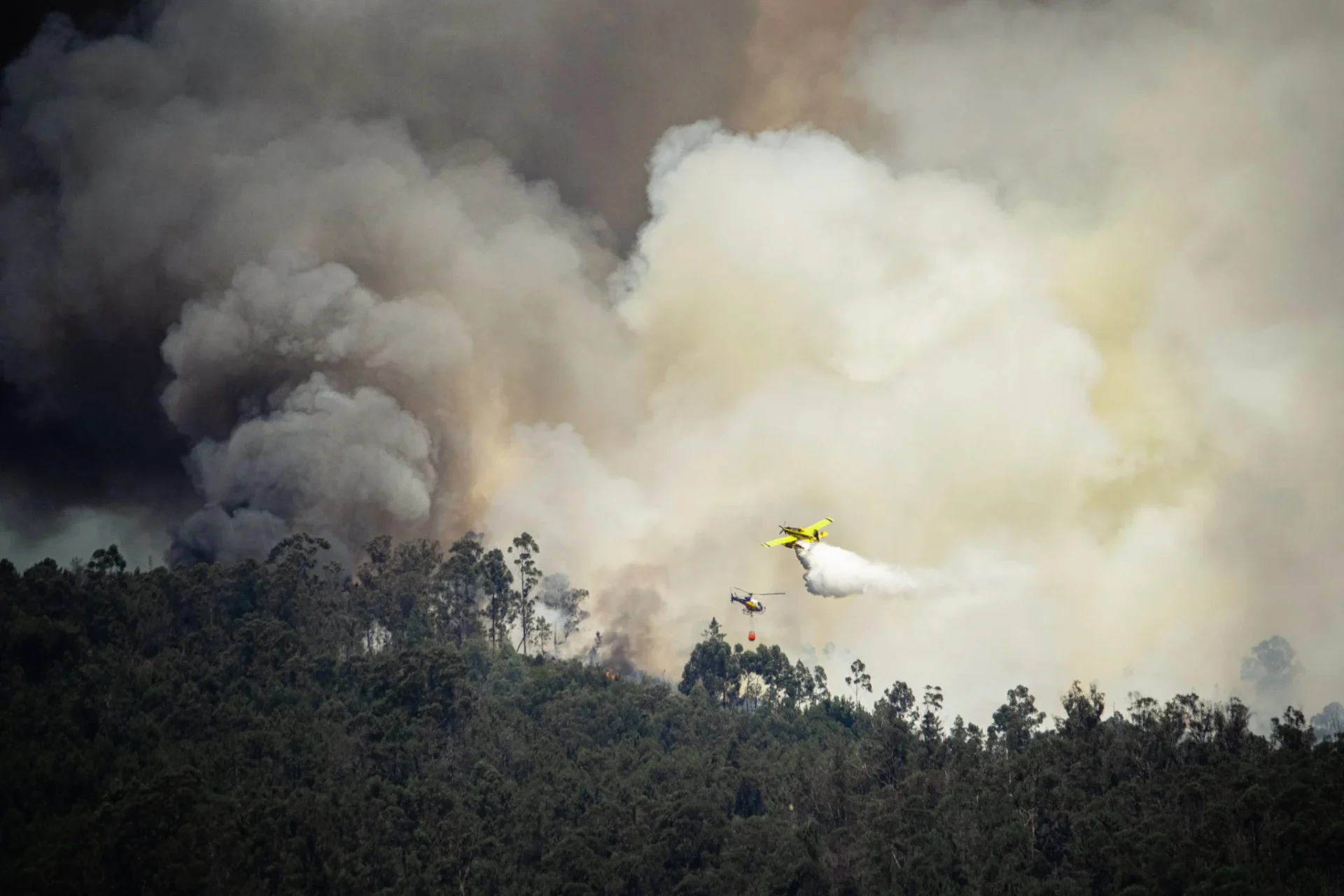 incendio-forestal-portugal-galicia-mezqu-portada incendio forestal Portugal Galicia