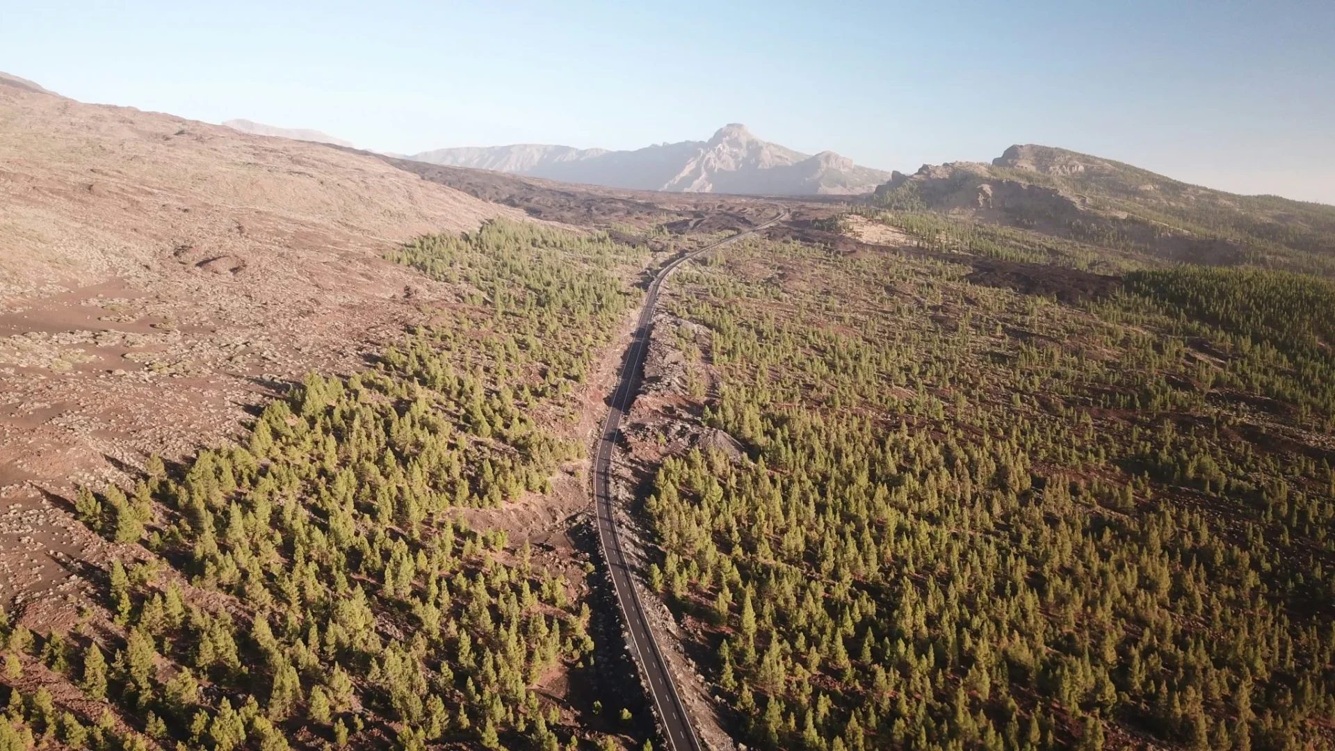incendios-forestales-espana-2025-greenpe-portada incendios forestales España 2025