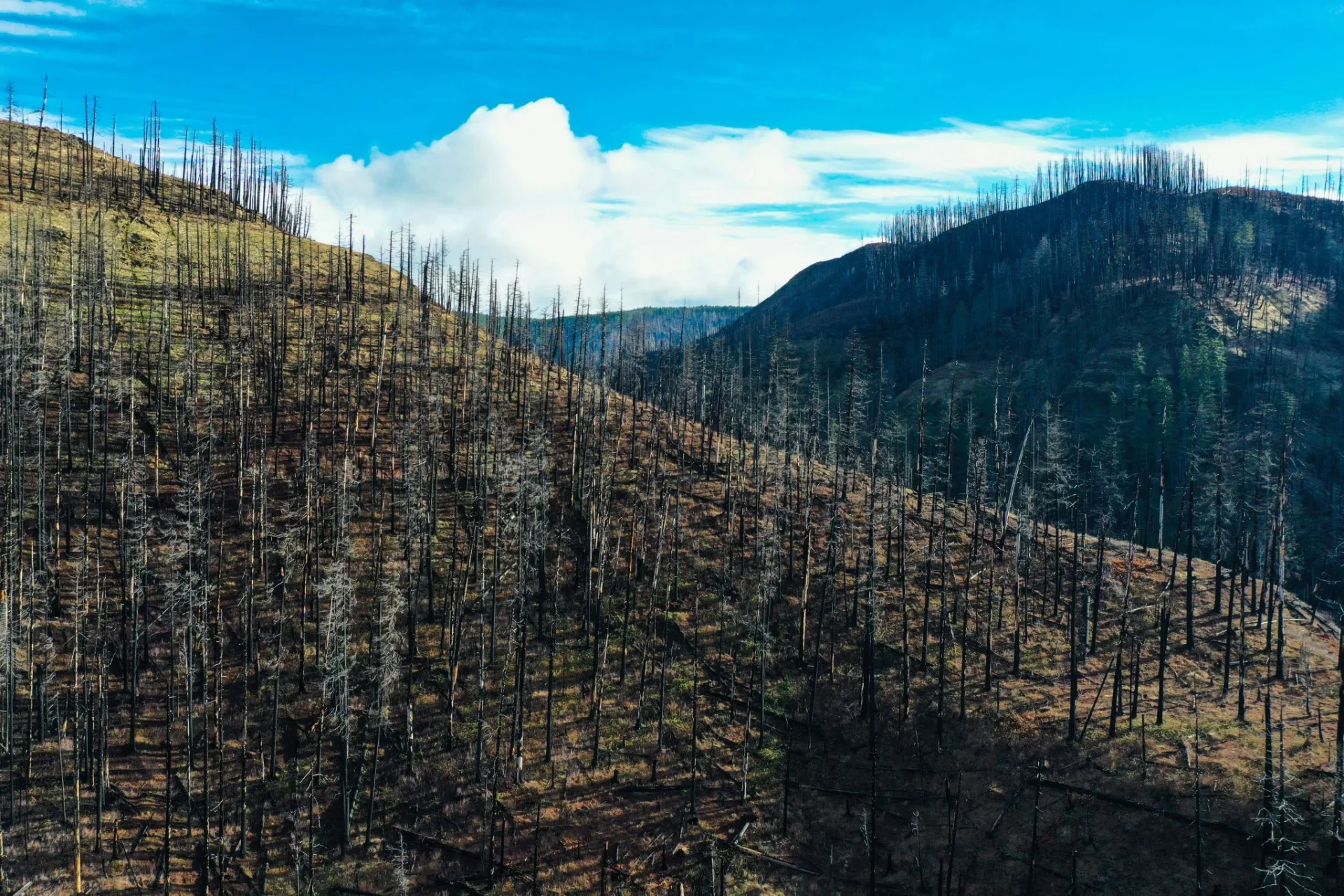 incendios-forestales-galicia-riadas-oure-portada incendios forestales Galicia riadas