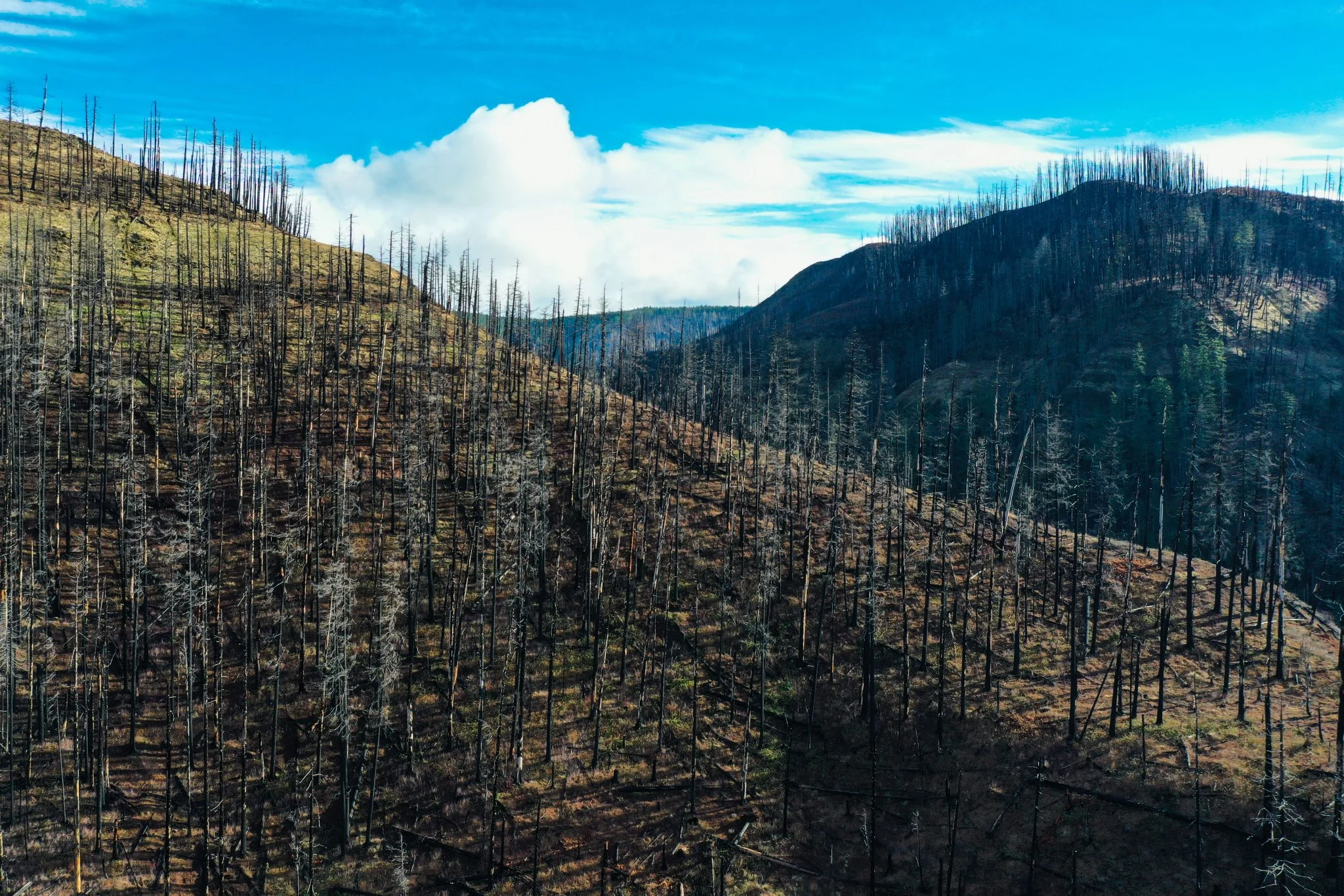 incendios-forestales-galicia-riadas-oure-portada incendios forestales Galicia riadas