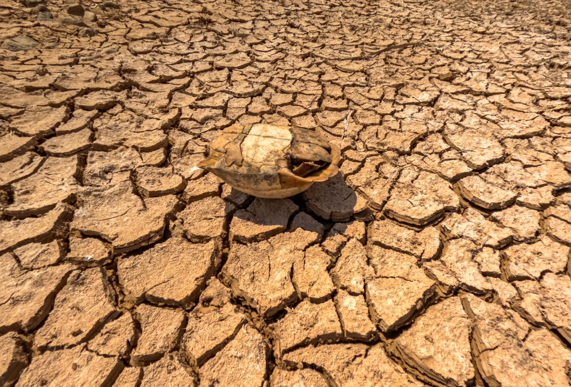 muerte-golpe-calor-almeria-andalucia-portada muerte golpe de calor Almería