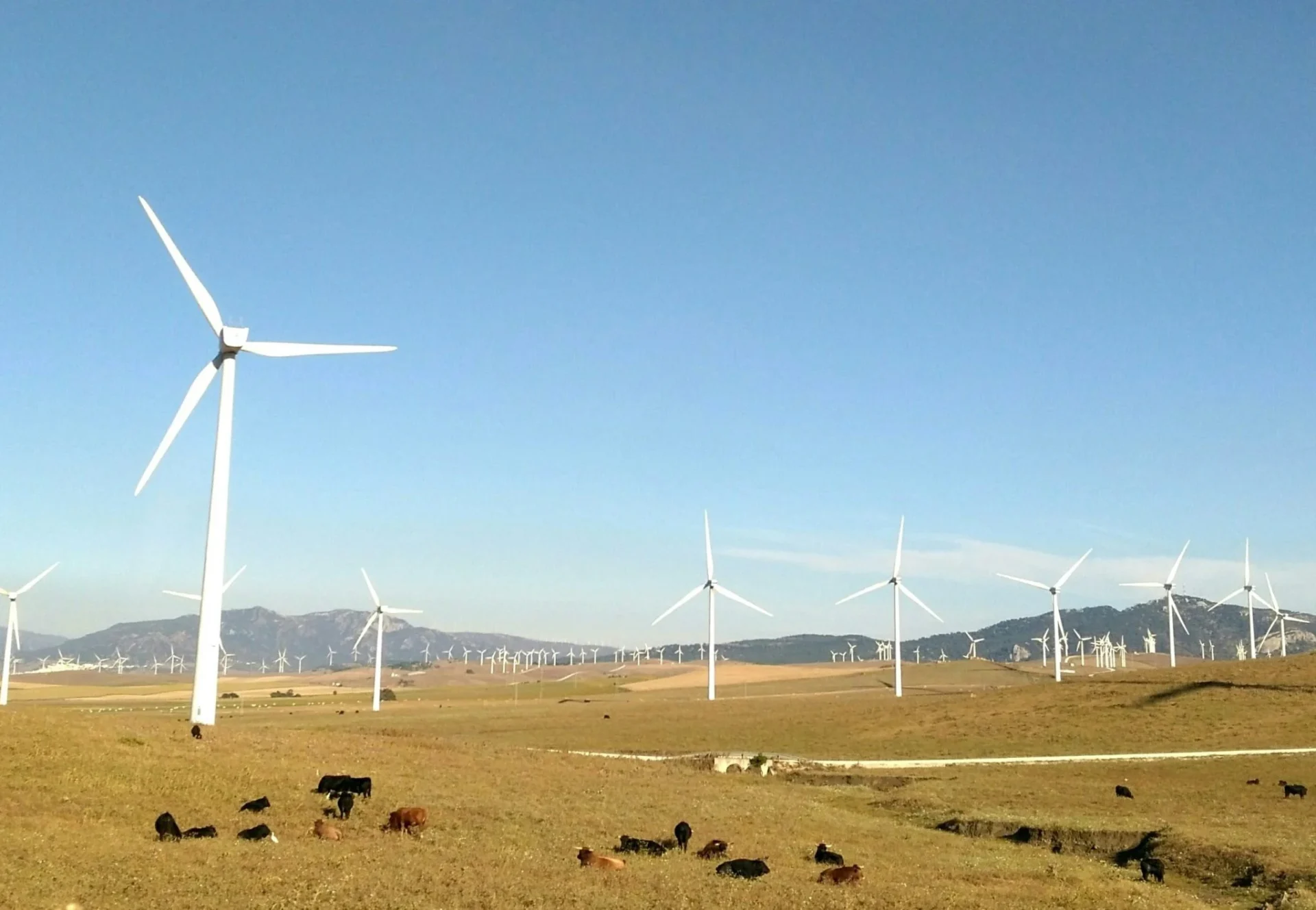 renovables-espana-desacople-pr-precio-electricidad-1 precio electricidad