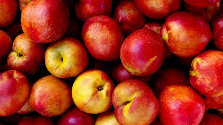 Nectarina
