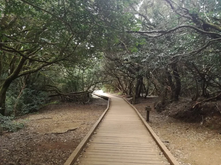 Escapa este julio al pantano que los madrileños llaman la playa de Madrid