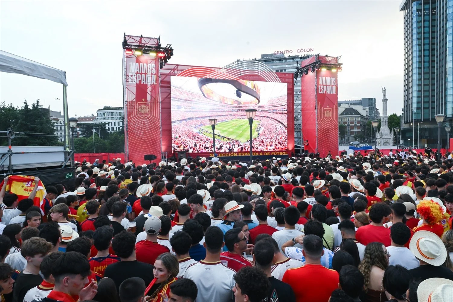 _aficionados_reaccionan_jugada_celebracion_partido_espana_belgica_mundial