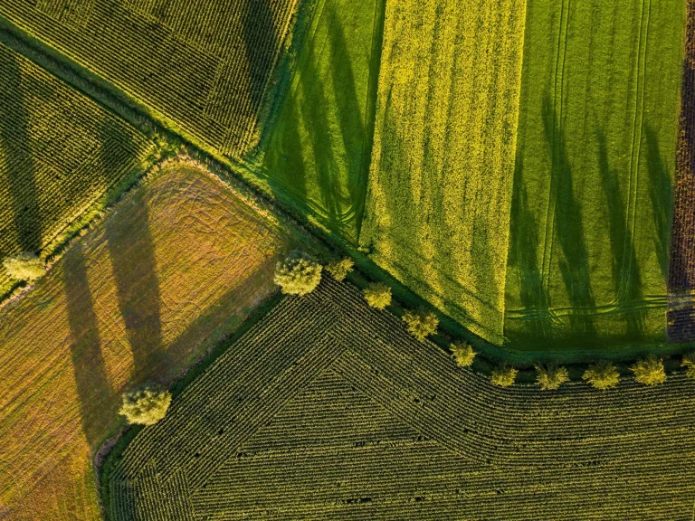 Agricultores y consumidores exigen una estrategia proteínas UE sin sesgo: las claves de su propuesta conjunta