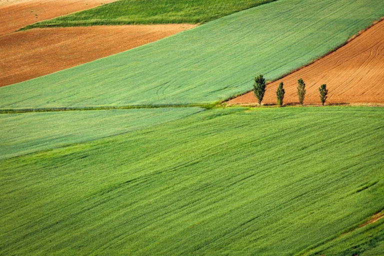 ¿Quieres vivir del campo? CyL convoca 10 millones en subvenciones para autoempleo agrario