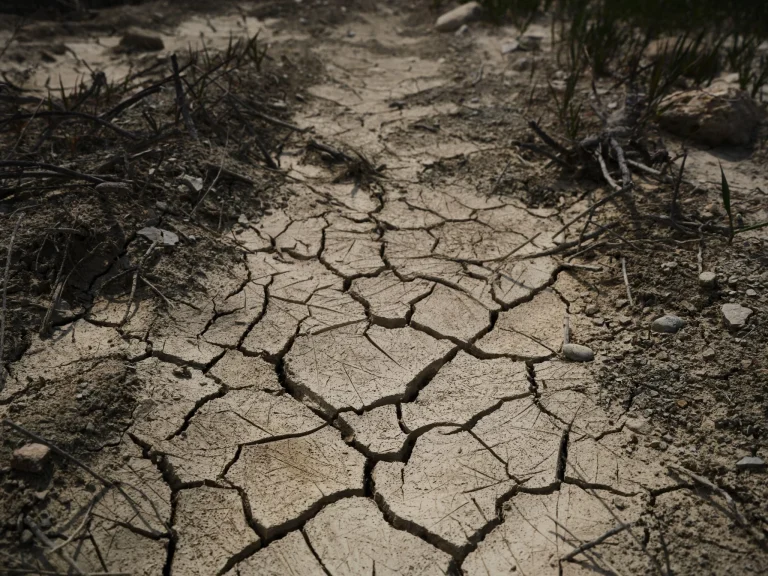 Alerta por calor en Andalucía: la AEMET prevé hasta 40 ºC en Sevilla, Córdoba y Jaén