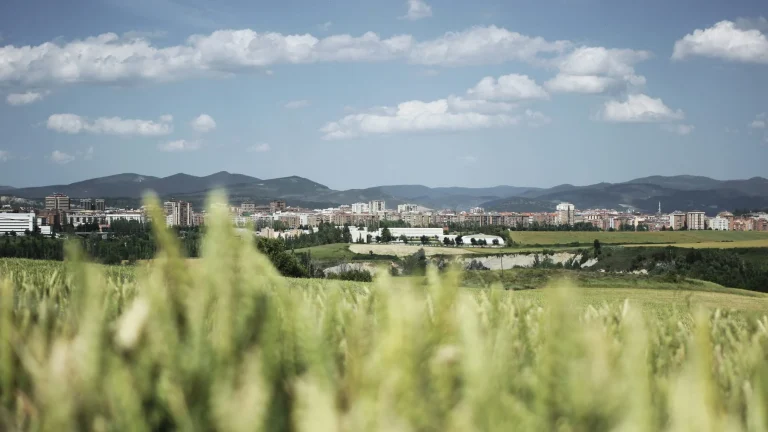 El MAPA publica 220 millones en ayudas de liquidez agroalimentario: lo que cambia para los agricultores
