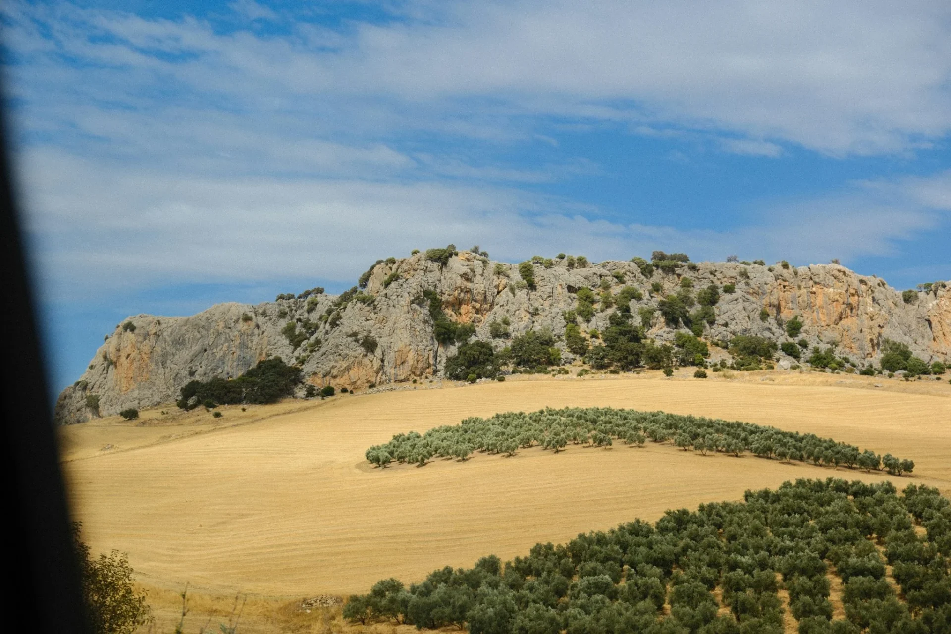 cosecha-cereal-andalucia-descenso-31-portada cosecha cereal Andalucía descenso