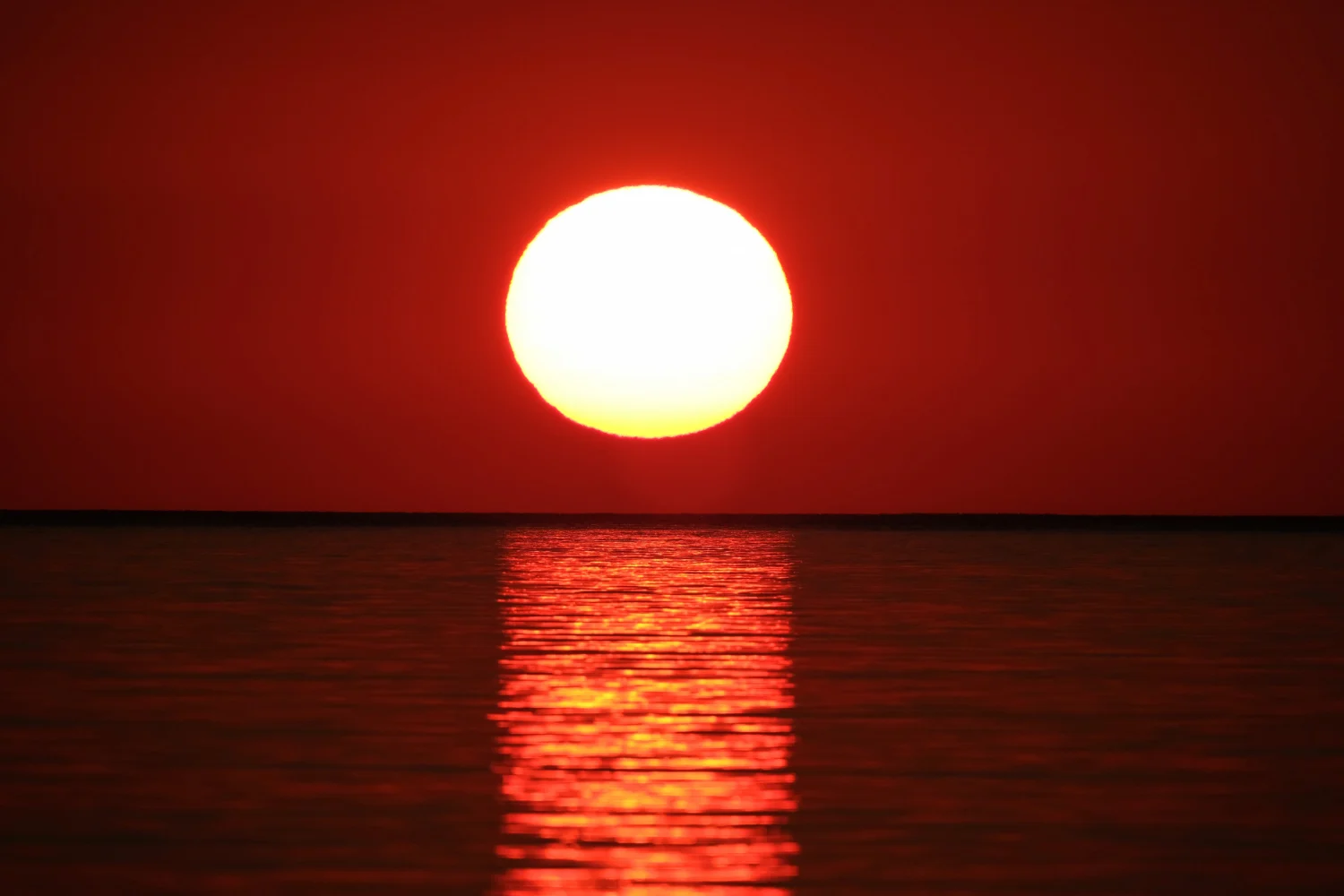 El eclipse solar del 12 de agosto moviliza a la DGT con un dispositivo especial para millones de desplazamientos en España El eclipse solar del 12 de agosto moviliza a la DGT con un dispositivo especial para millones de desplazamientos en España