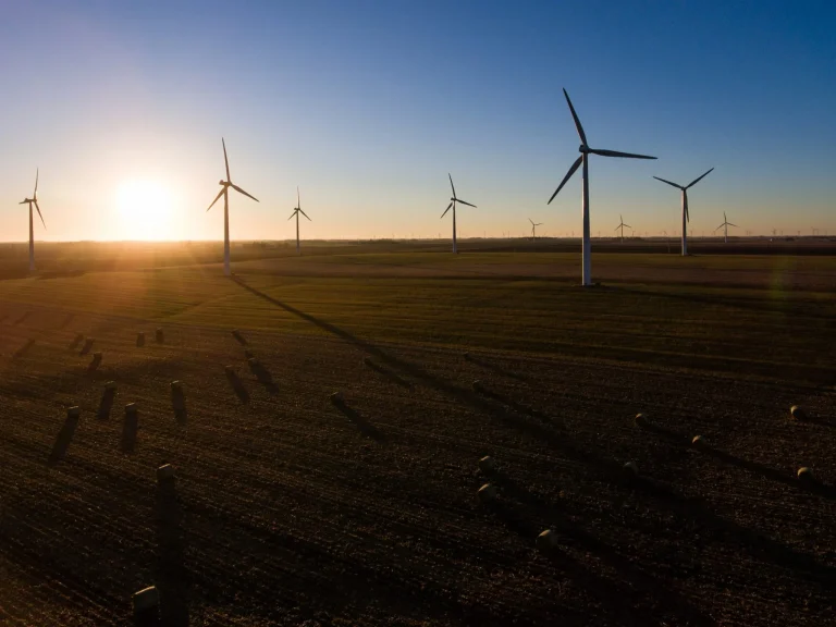 EE.UU. instalará un 36% más de turbinas eólicas en 2025, según Wood Mackenzie
