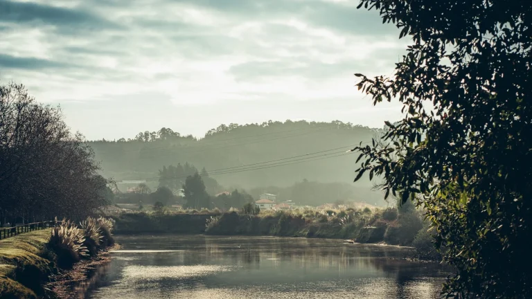 La ola de calor en Galicia dispara los termómetros a 40 grados: alerta roja en 138 concellos