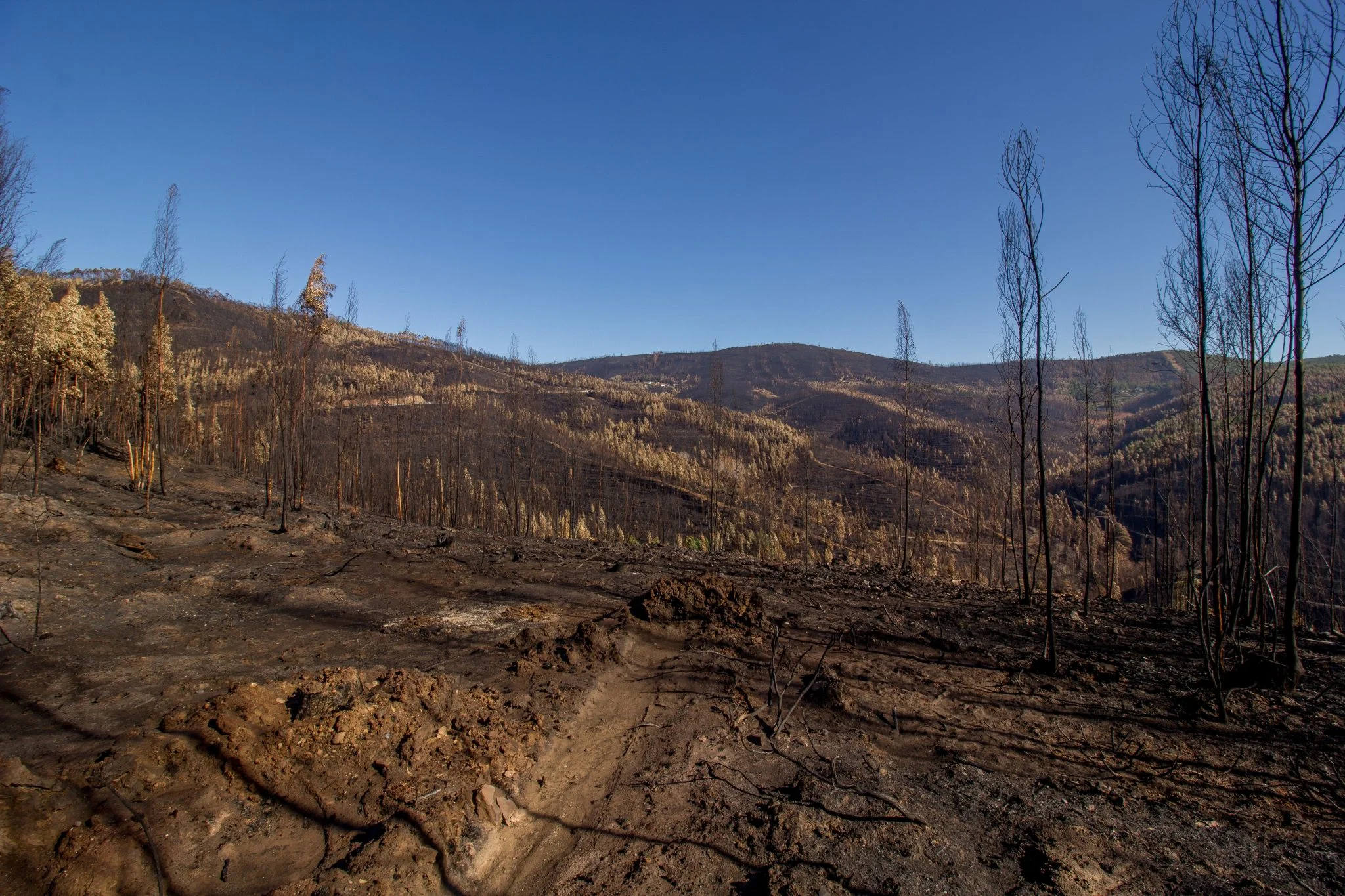 La Junta declara desastre natural el incendio de Villanueva de los Castillejos (Huelva) y pide ayudas al Estado 1 Moncloa desastre natural Huelva