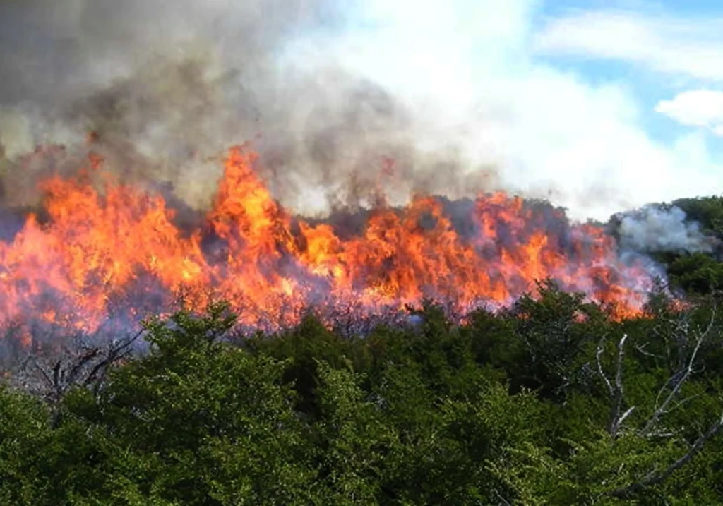 Bravo exige máxima coordinación ante los incendios y critica la gestión del Gobierno de Sánchez 1 Moncloa Incendios forestales en España (Fuente: Agencias)