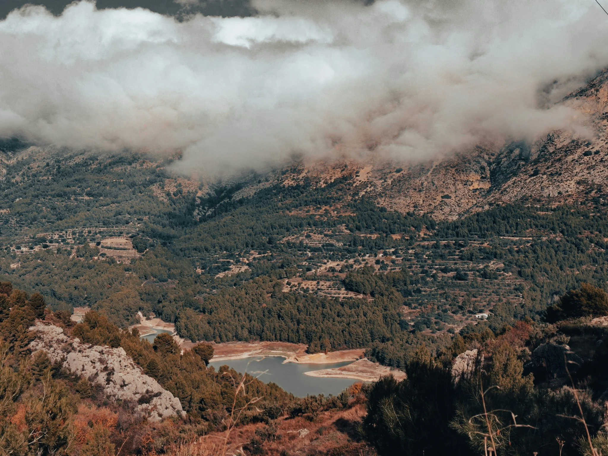 incendios-espana-2026-77000-hectareas-portada incendios España 2026