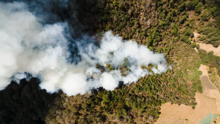 Los bomberos estabilizan el incendio de Les Gavarres y levantan el confinamiento en ocho municipios