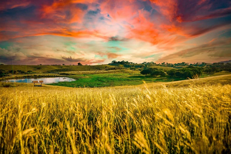 Indalecio Dangond, el nuevo ministro de Agricultura de Colombia que puede redefinir el agro español